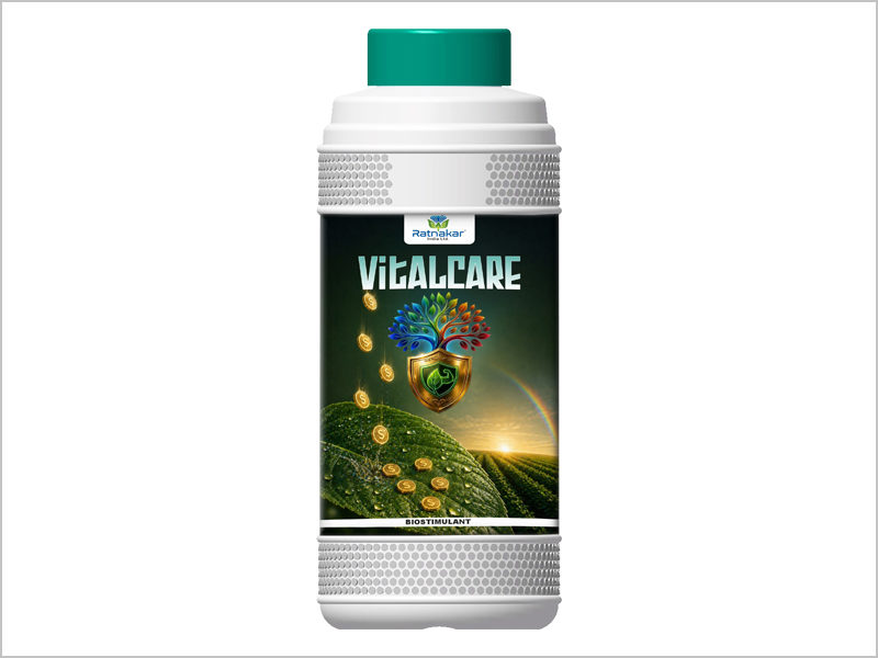 Manufacturer of Mixture of Seaweed (Durvillaea potatorum) extract and Botanical in India